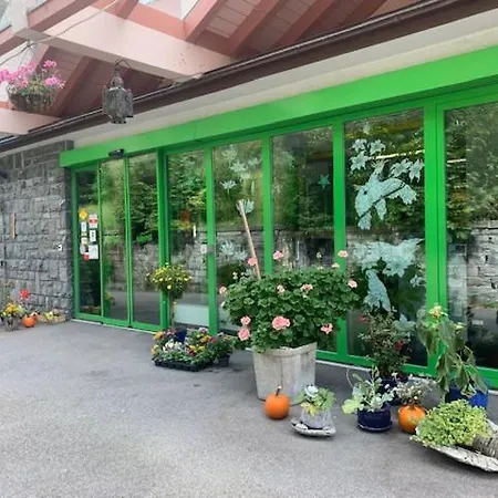 Hotel Haltenegg