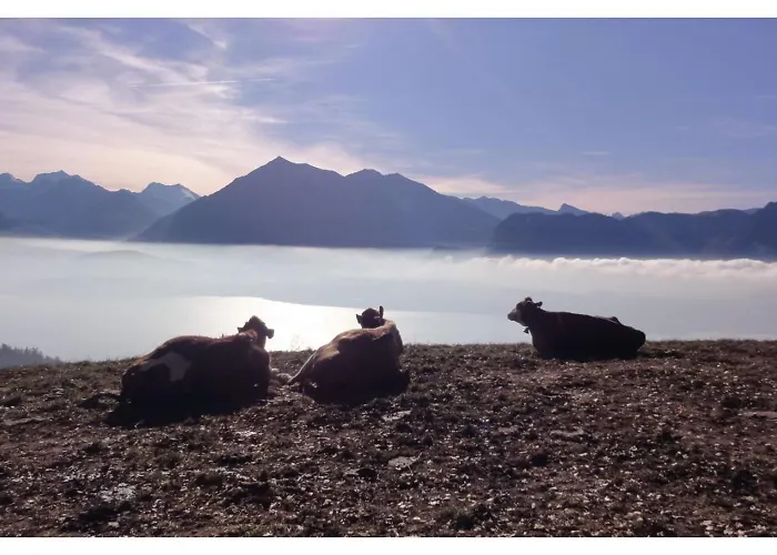 Otel Haltenegg Heiligenschwendi