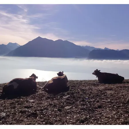 Hotel Haltenegg Heiligenschwendi